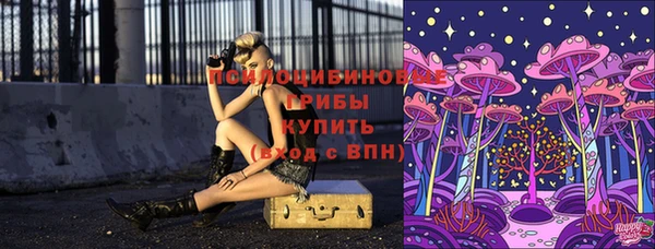 не бодяженный Новодвинск