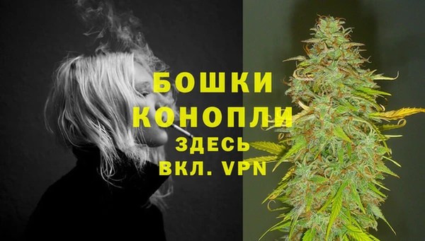 не бодяженный Новодвинск