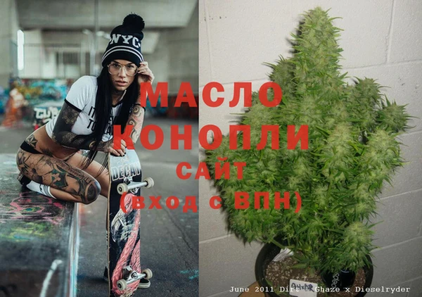 тгк Новозыбков
