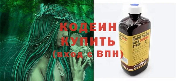 тгк Новозыбков