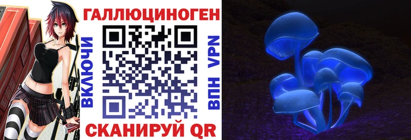 Псилоцибиновые грибы прущие грибы  Купить закладки  Электроугли 